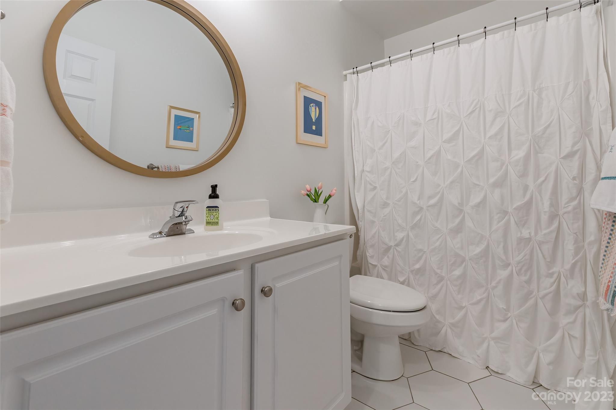 1744 Catherine Lothie Way Fort Mill, SC 29708 - Photo 35 of 44 a bathroom with a sink a toilet and a mirror