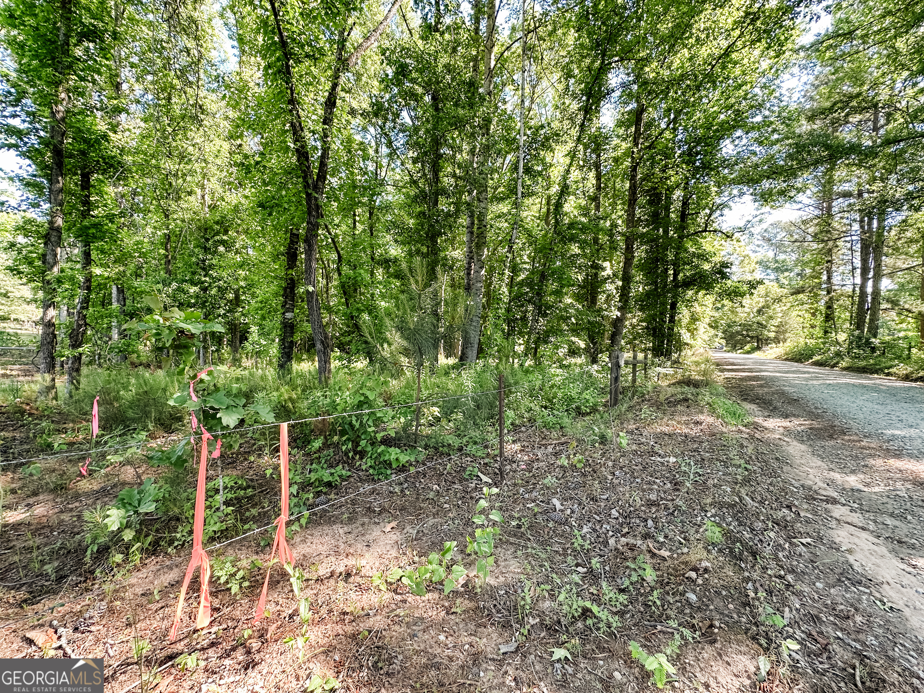 0 Wehunt Road Monticello, GA 31064 - Photo 13 of 15