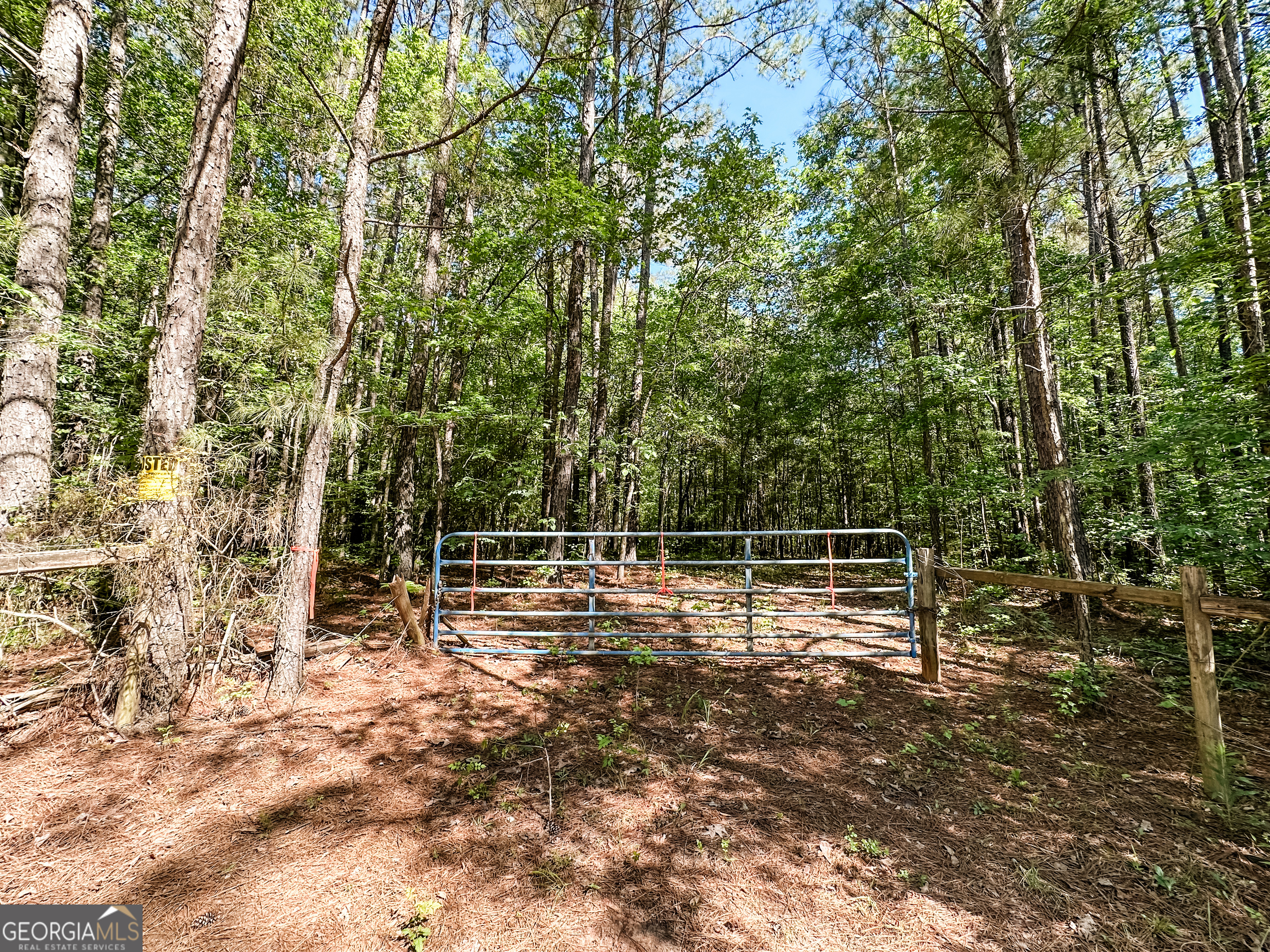 0 Wehunt Road Monticello, GA 31064 - Photo 2 of 15