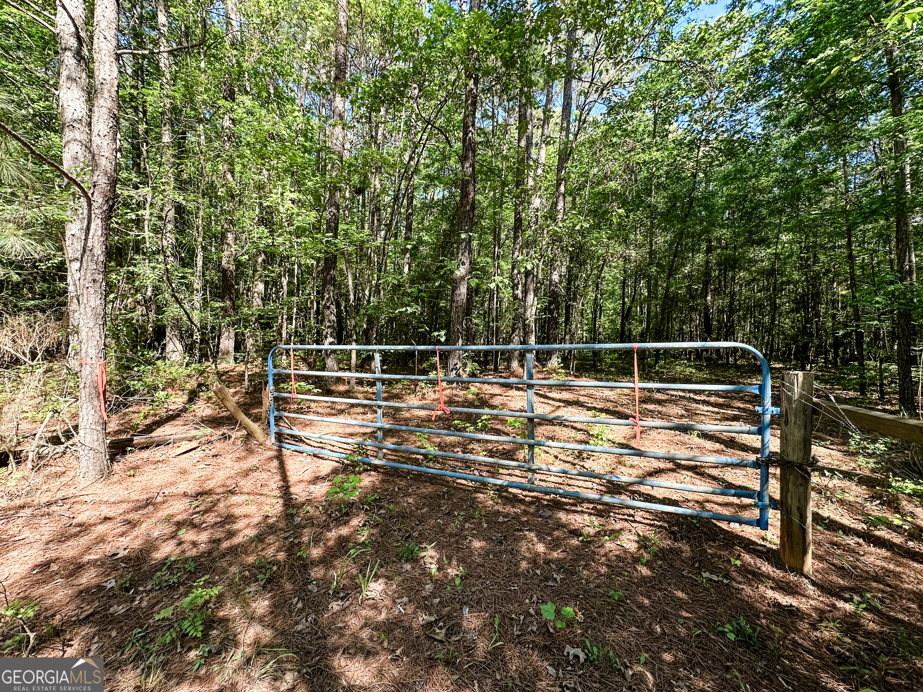 0 Wehunt Road Monticello, GA 31064 - Photo 3 of 15