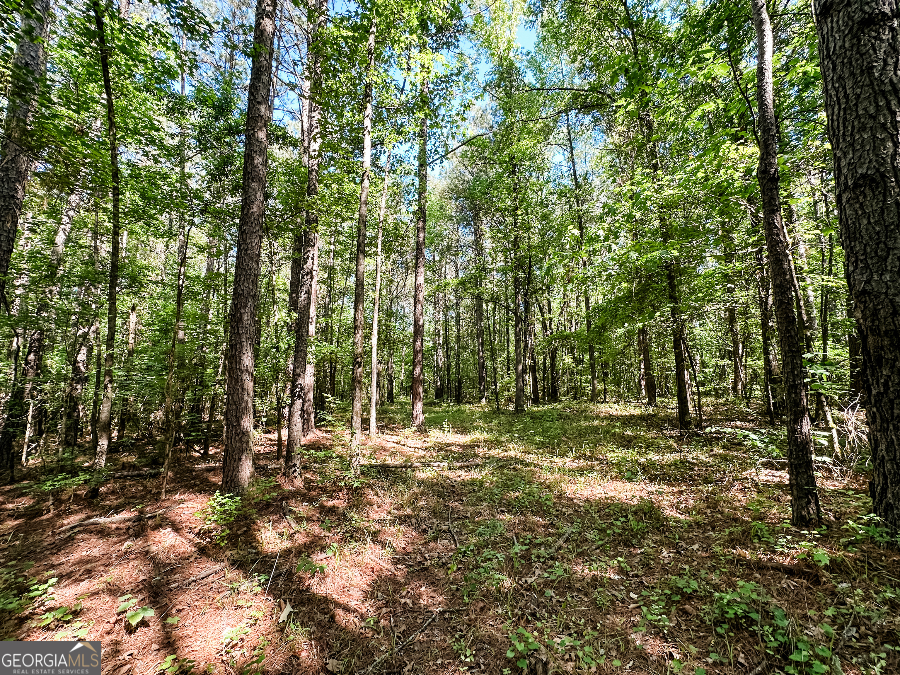 0 Wehunt Road Monticello, GA 31064 - Photo 6 of 15