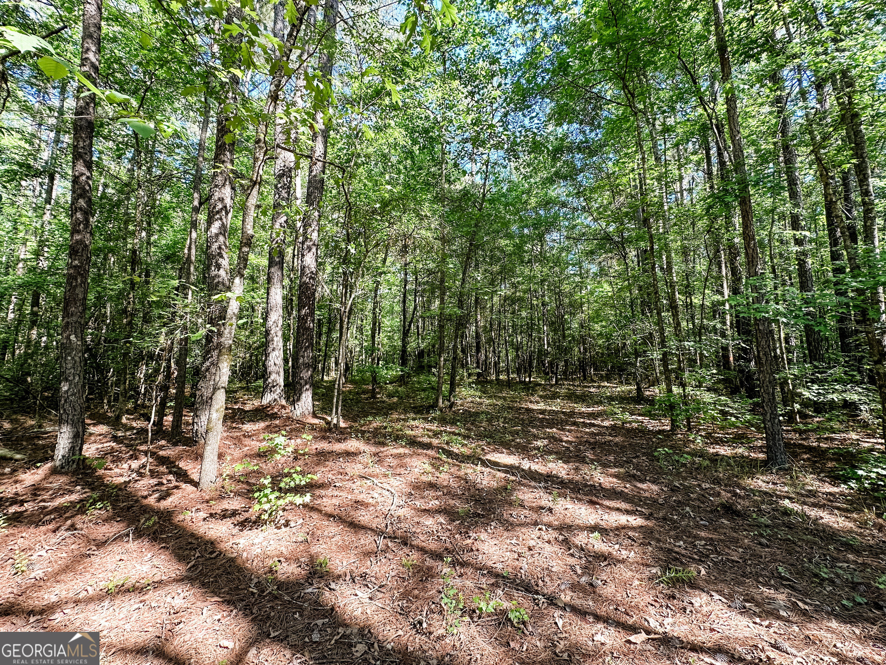 0 Wehunt Road Monticello, GA 31064 - Photo 10 of 15