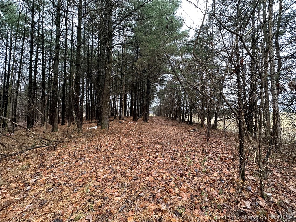 North Rush Creek Road Salem, IN 47167 - Photo 13 of 13