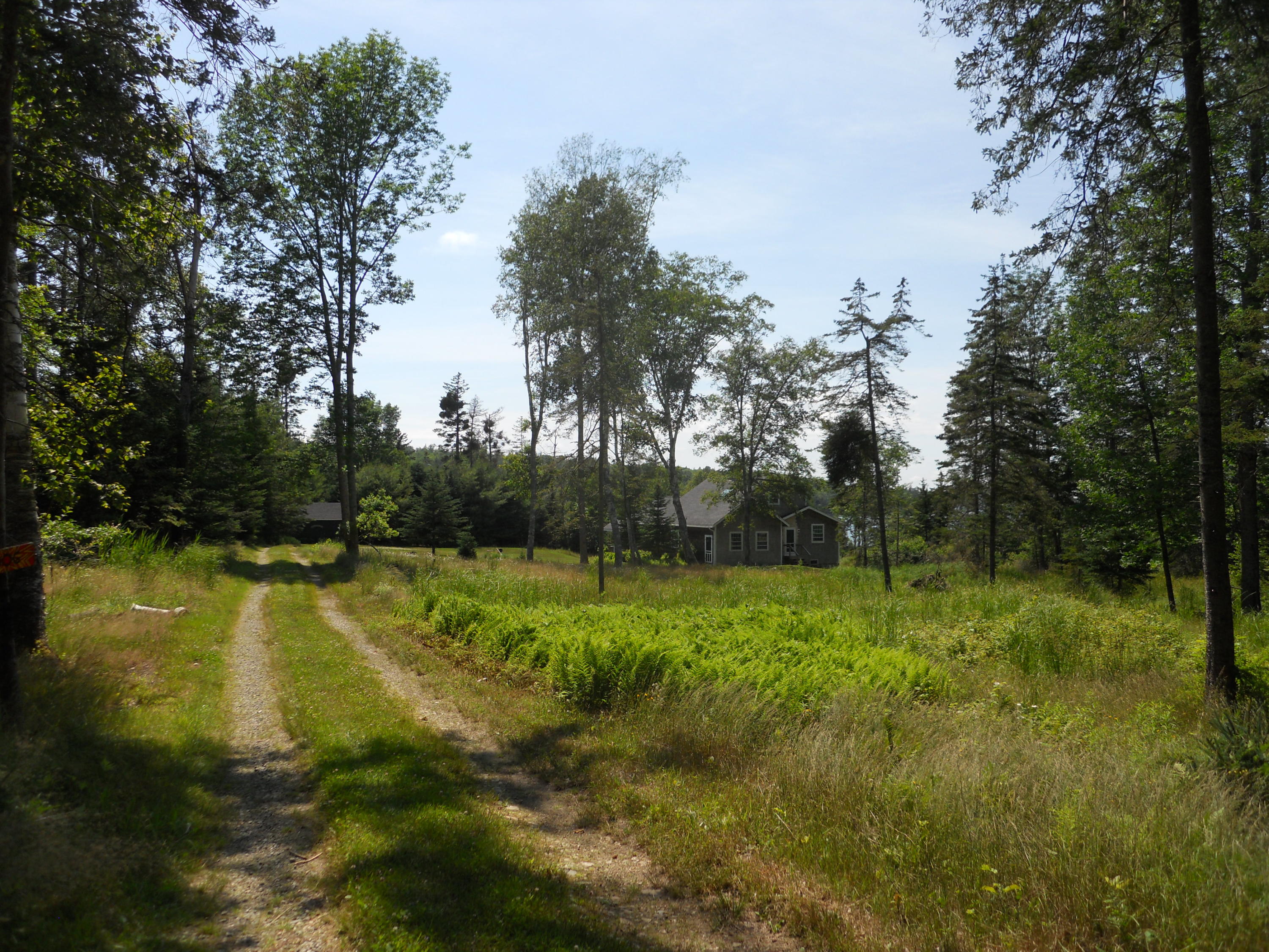 1537 Meadow Pond Road Islesboro, ME 04848 - Photo 10 of 38 DrivewayDSCN0403