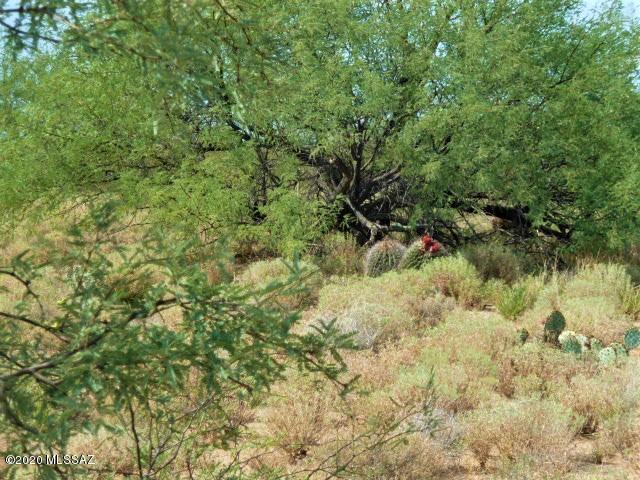 Lot 19 North San Pedro Ranch Road, Unit 19 Benson, AZ 85602 - Photo 3 of 26 Gallery Image 3