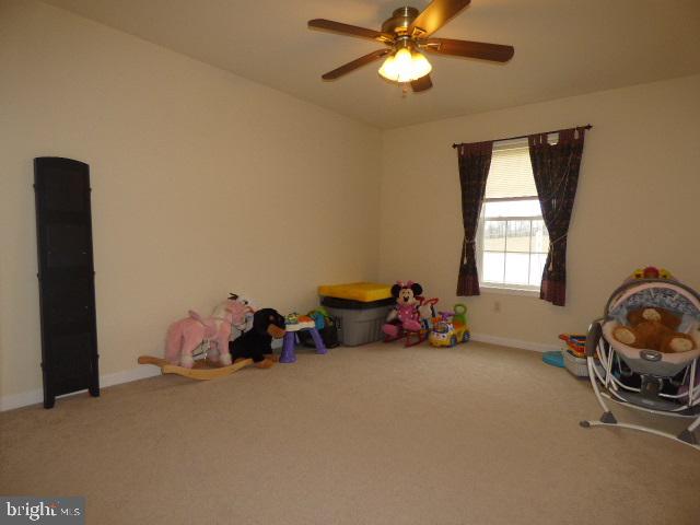 3511 Brownton Road Felton, PA 17322 - Photo 10 of 19