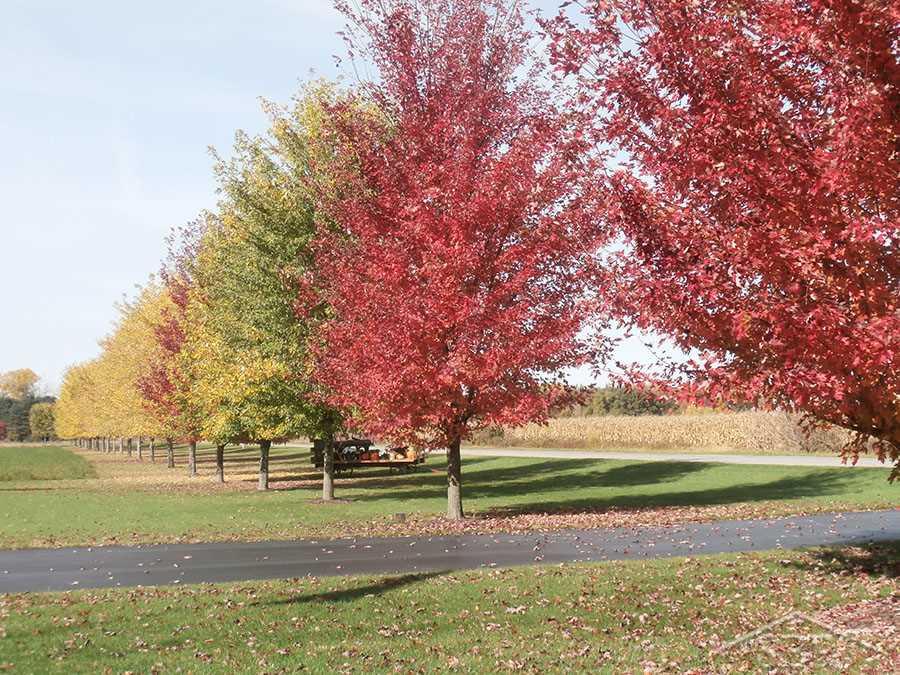 9710 Warnick Road Frankenmuth, MI 48734 - Photo 30 of 43 31387415-29.JPG