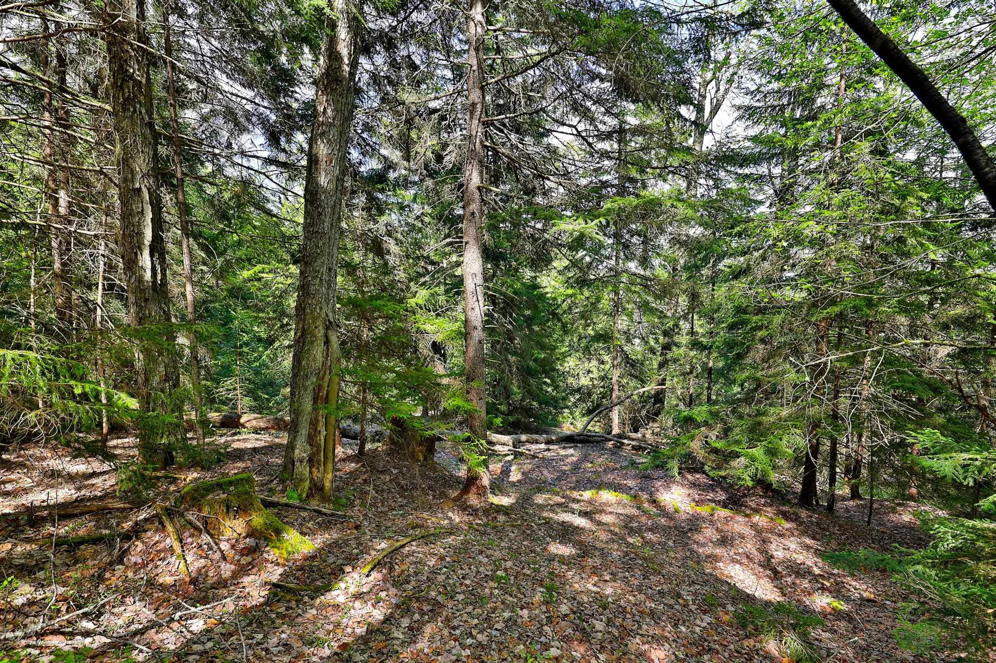 98 Wilcox Peak Road Pittsfield, VT 05762 - Photo 4 of 9