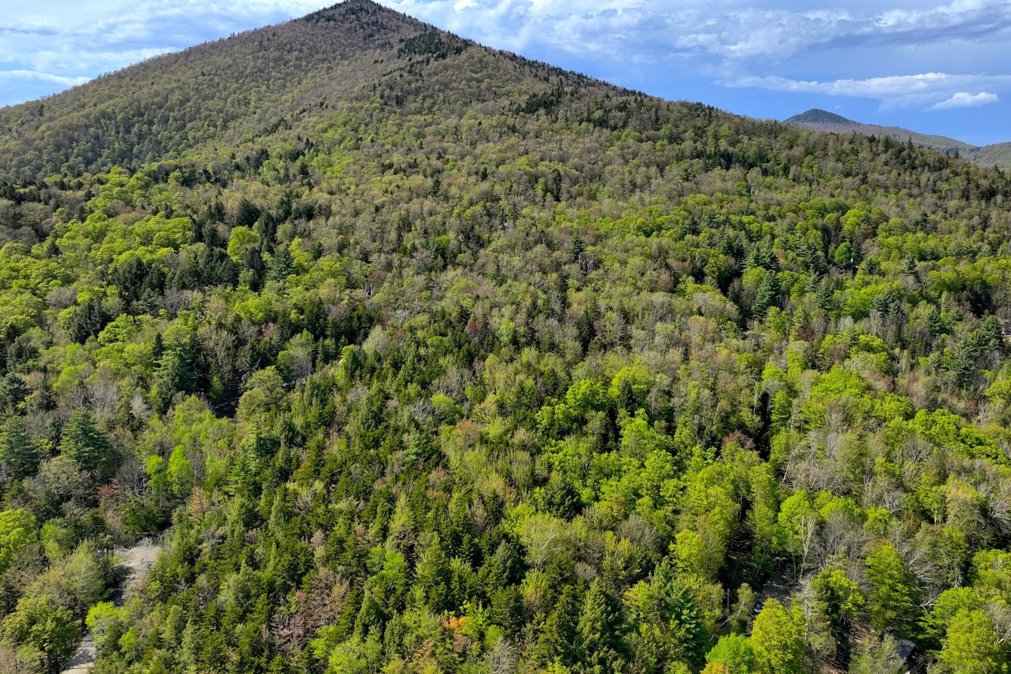 98 Wilcox Peak Road Pittsfield, VT 05762 - Photo 8 of 9