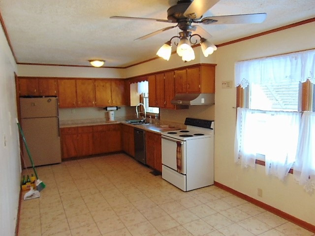 310 Roland Avenue Owenton, KY 40359 - Photo 6 of 30 Gallery Image 6