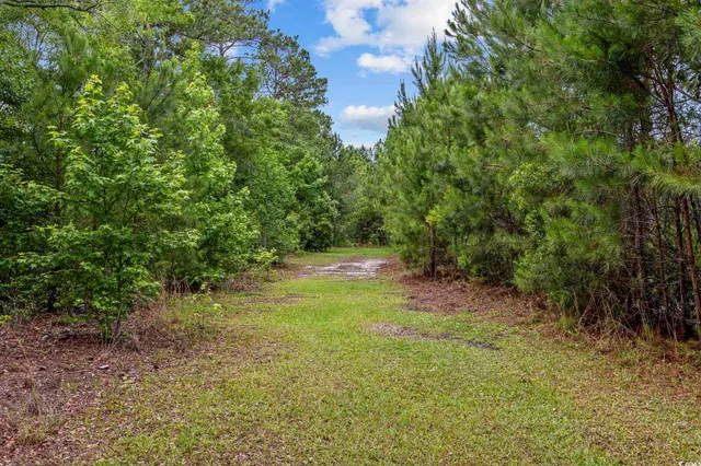 $299,999 | 1342 Highway 90, Conway, SC 29526