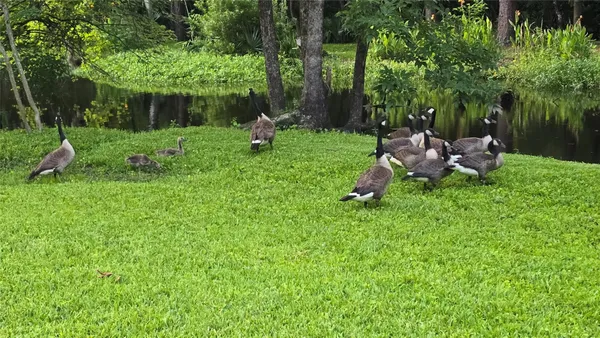 $1,150,000 | 310 Woodland Drive, Boone, NC 28607