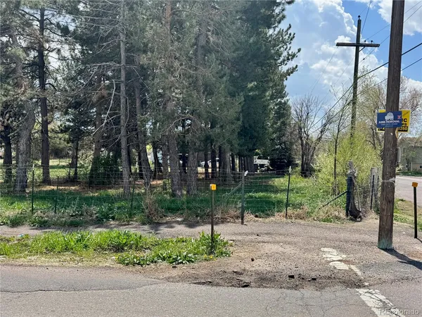 a view of a park with large trees