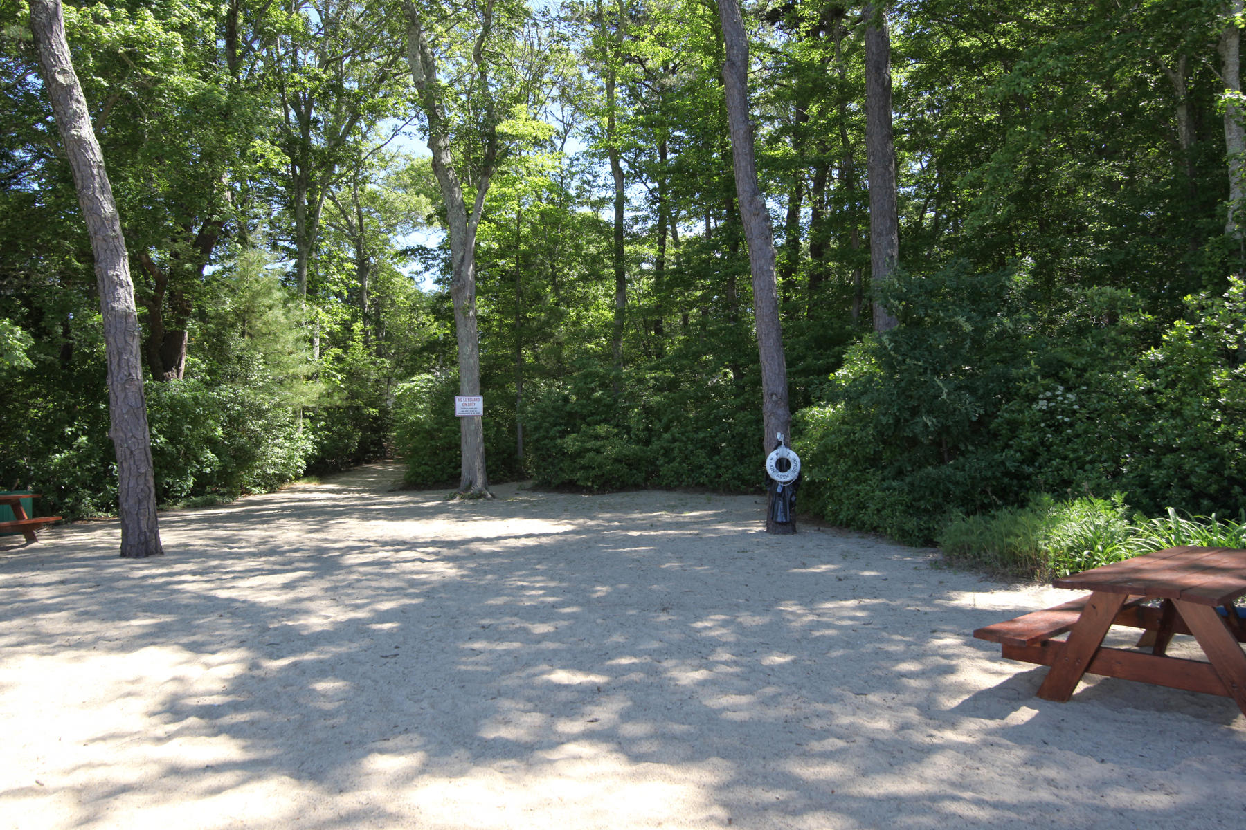 115 Holly Point Road Centerville, MA 02632 - Photo 5 of 26 a view of a yard with a tree