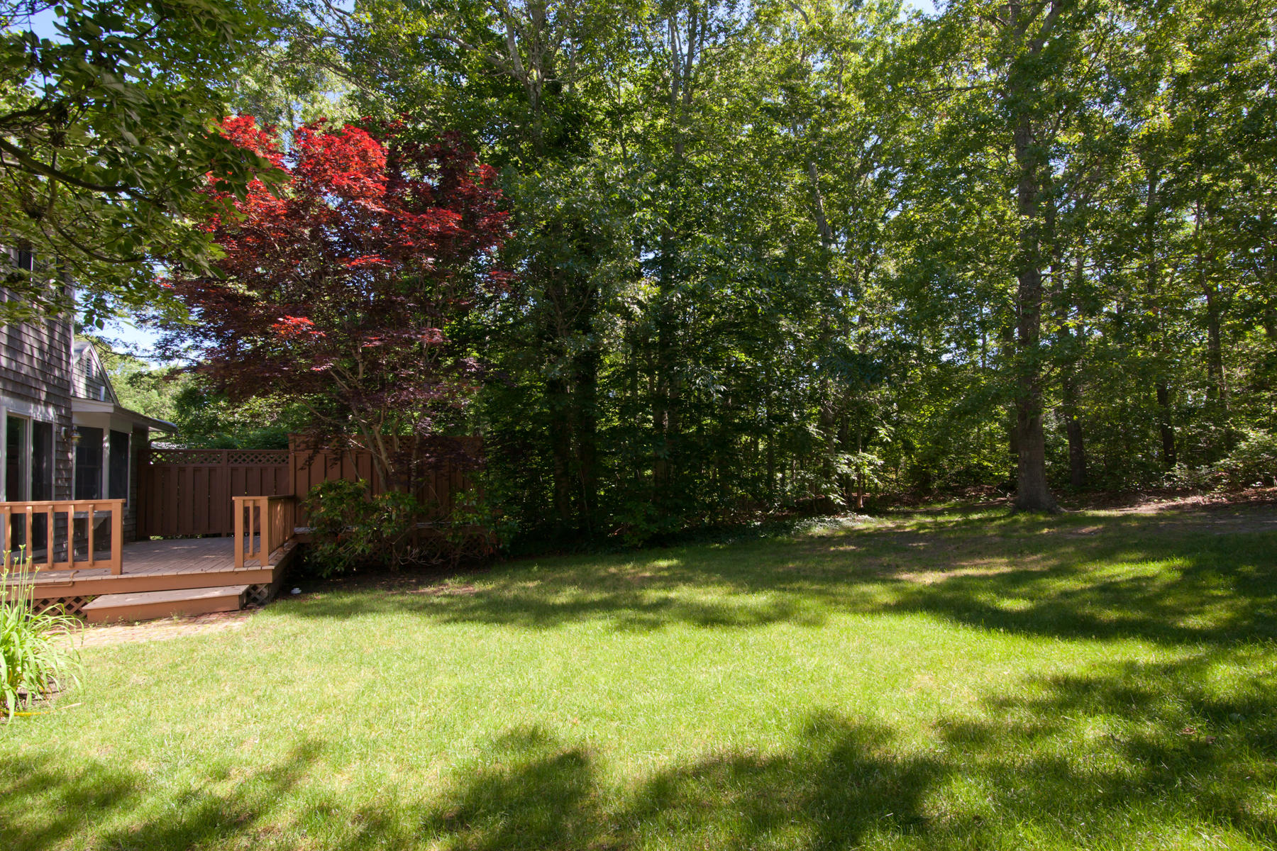 115 Holly Point Road Centerville, MA 02632 - Photo 7 of 26 a view of a backyard with a tree