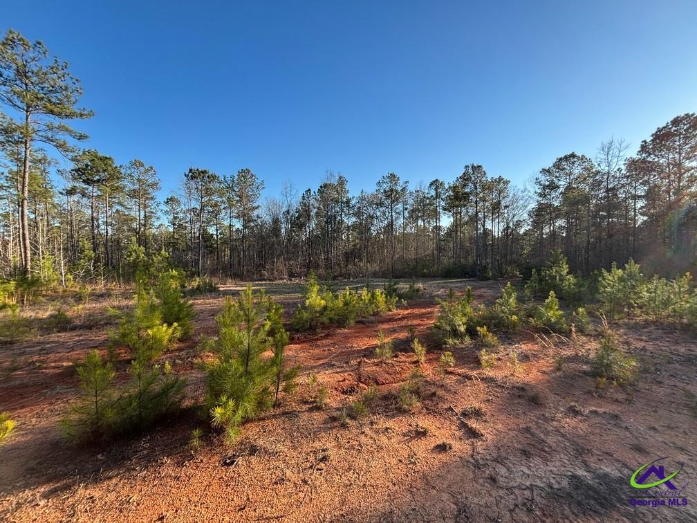 1351 Dixon Road Roberta, GA 31078 - Photo 11 of 26