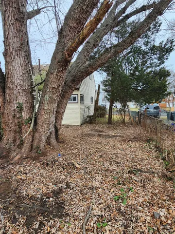 a view of a yard with a tree