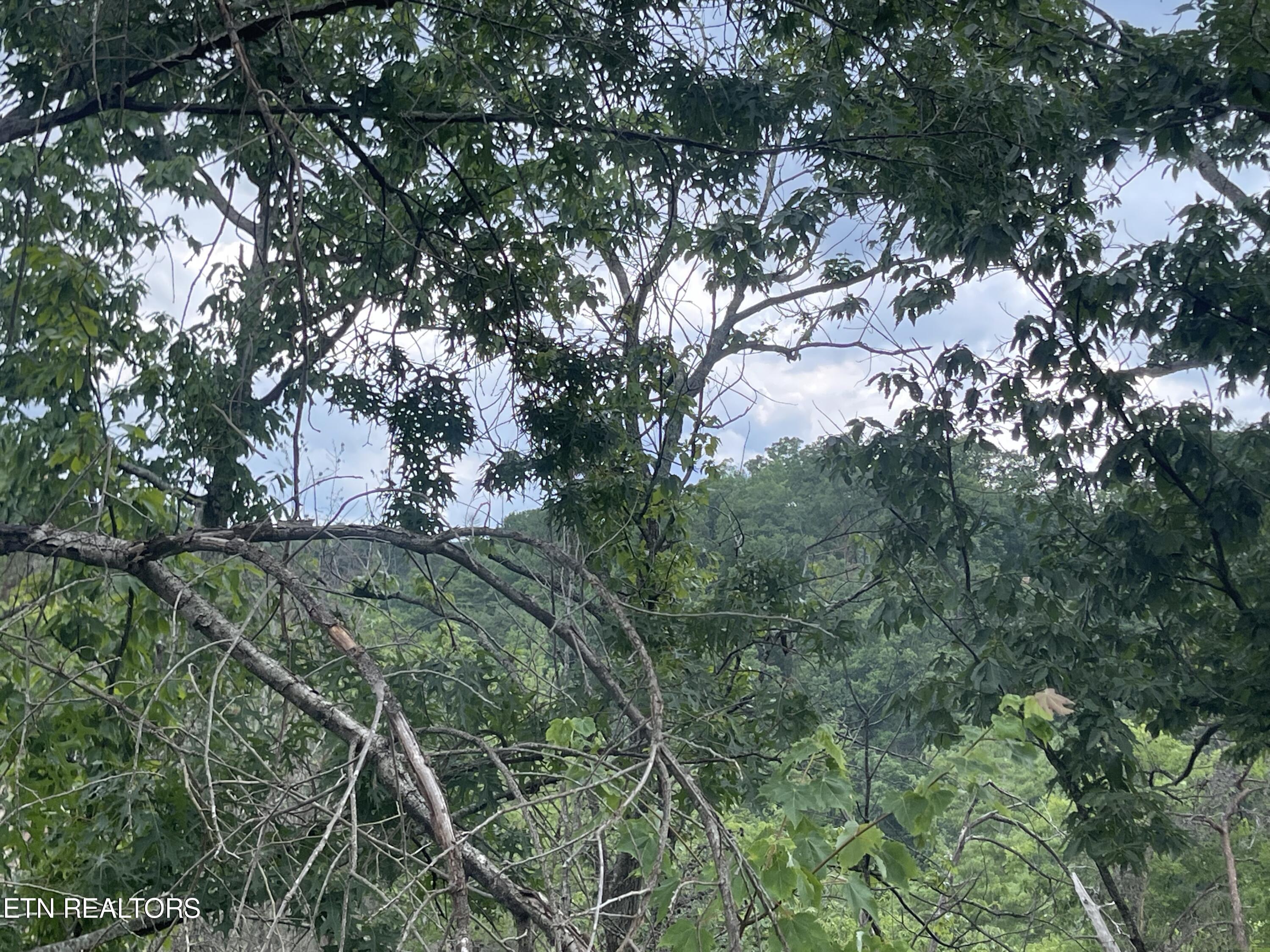 River Birch Way Sevierville, TN 37862 - Photo 13 of 28 mountain view to be uncovered