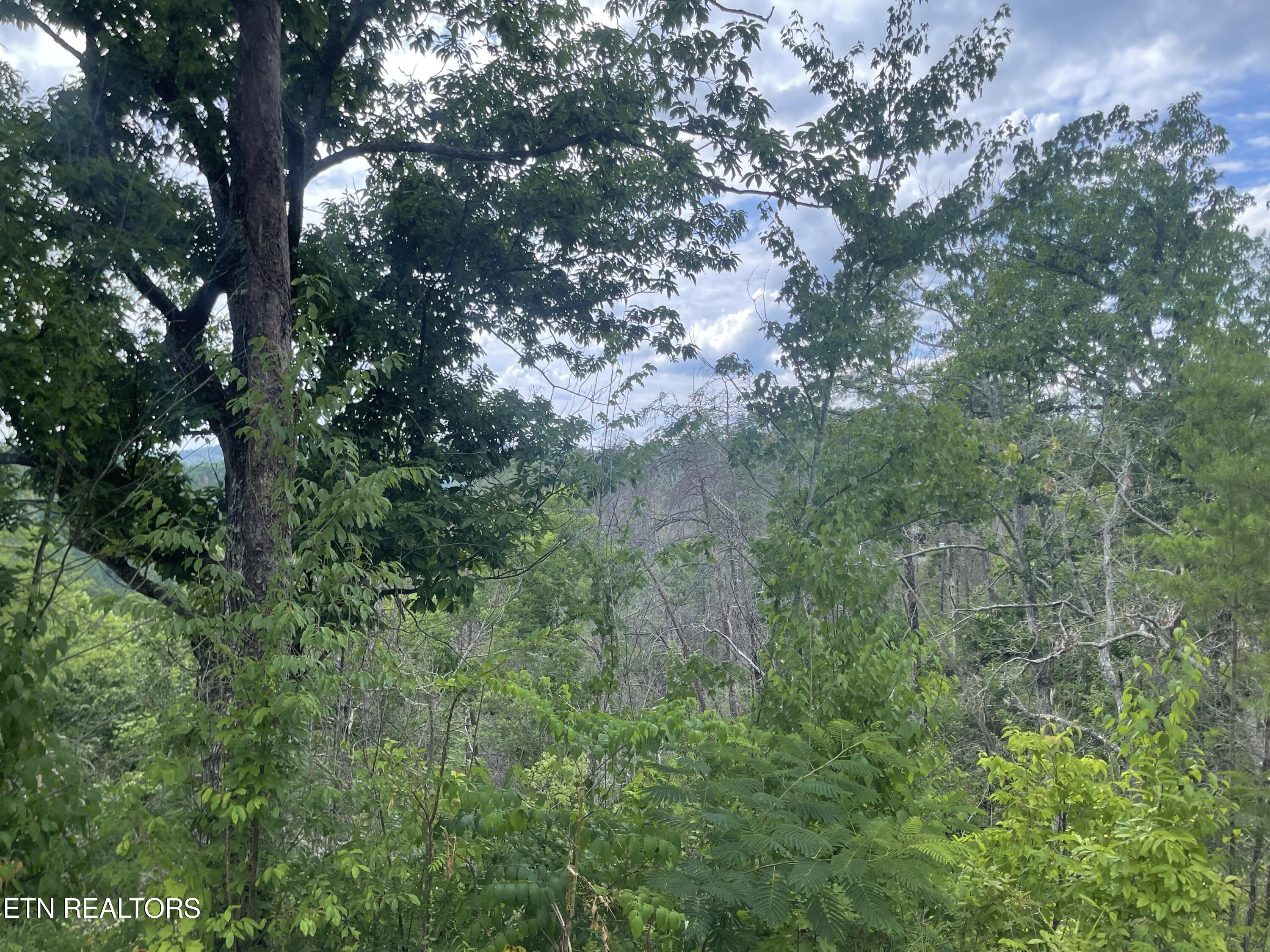 River Birch Way Sevierville, TN 37862 - Photo 15 of 28 mountain view to be uncovered