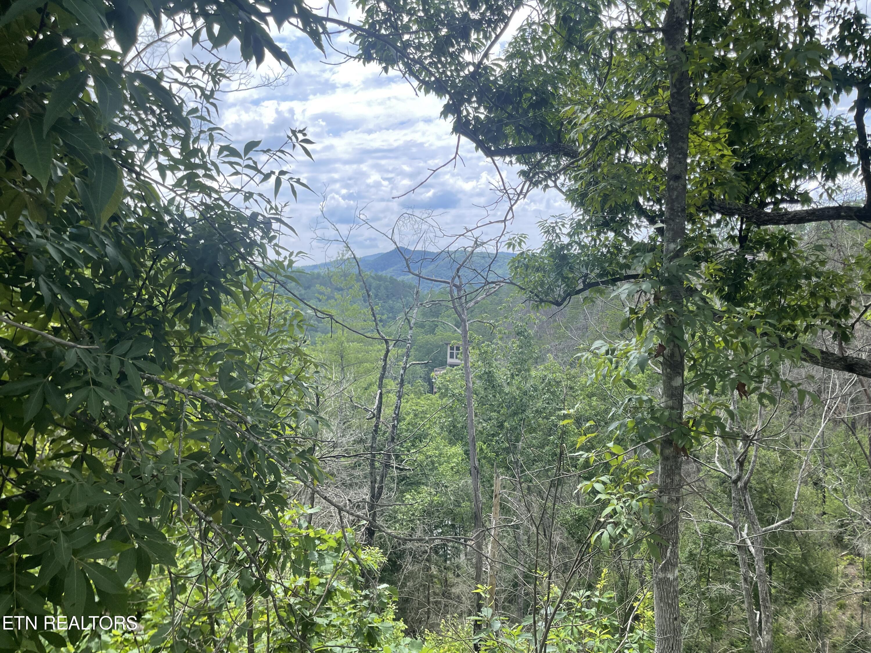 River Birch Way Sevierville, TN 37862 - Photo 16 of 28 mountain view to be uncovered