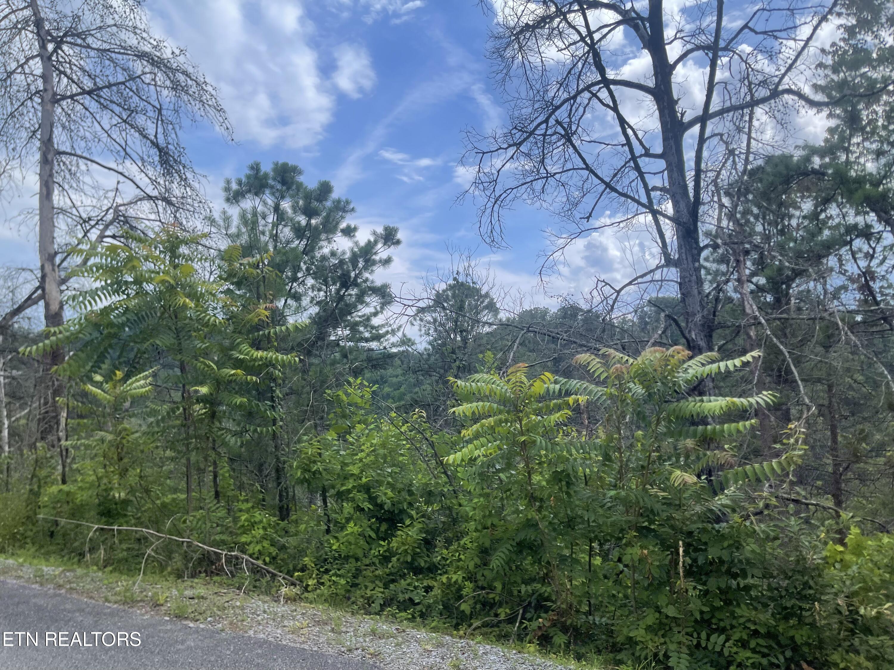 River Birch Way Sevierville, TN 37862 - Photo 17 of 28 mountain view to be uncovered