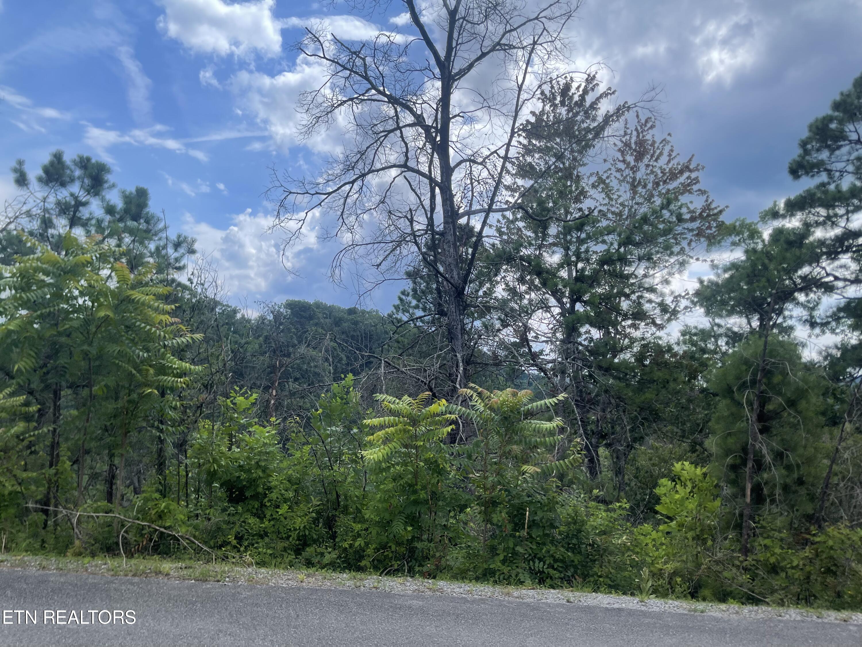 River Birch Way Sevierville, TN 37862 - Photo 18 of 28 from the street, potential build site