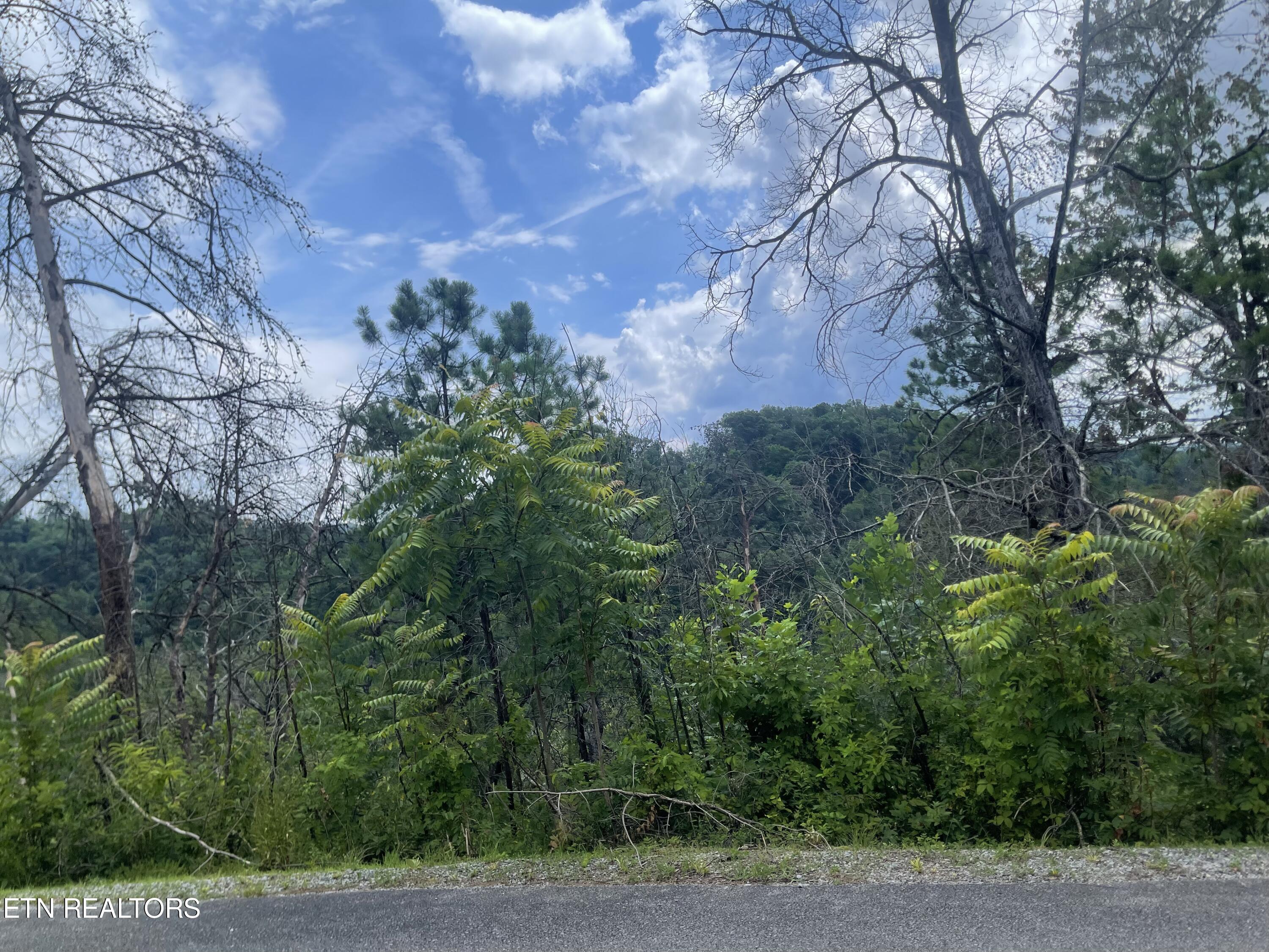 River Birch Way Sevierville, TN 37862 - Photo 19 of 28 mountain view to be uncovered