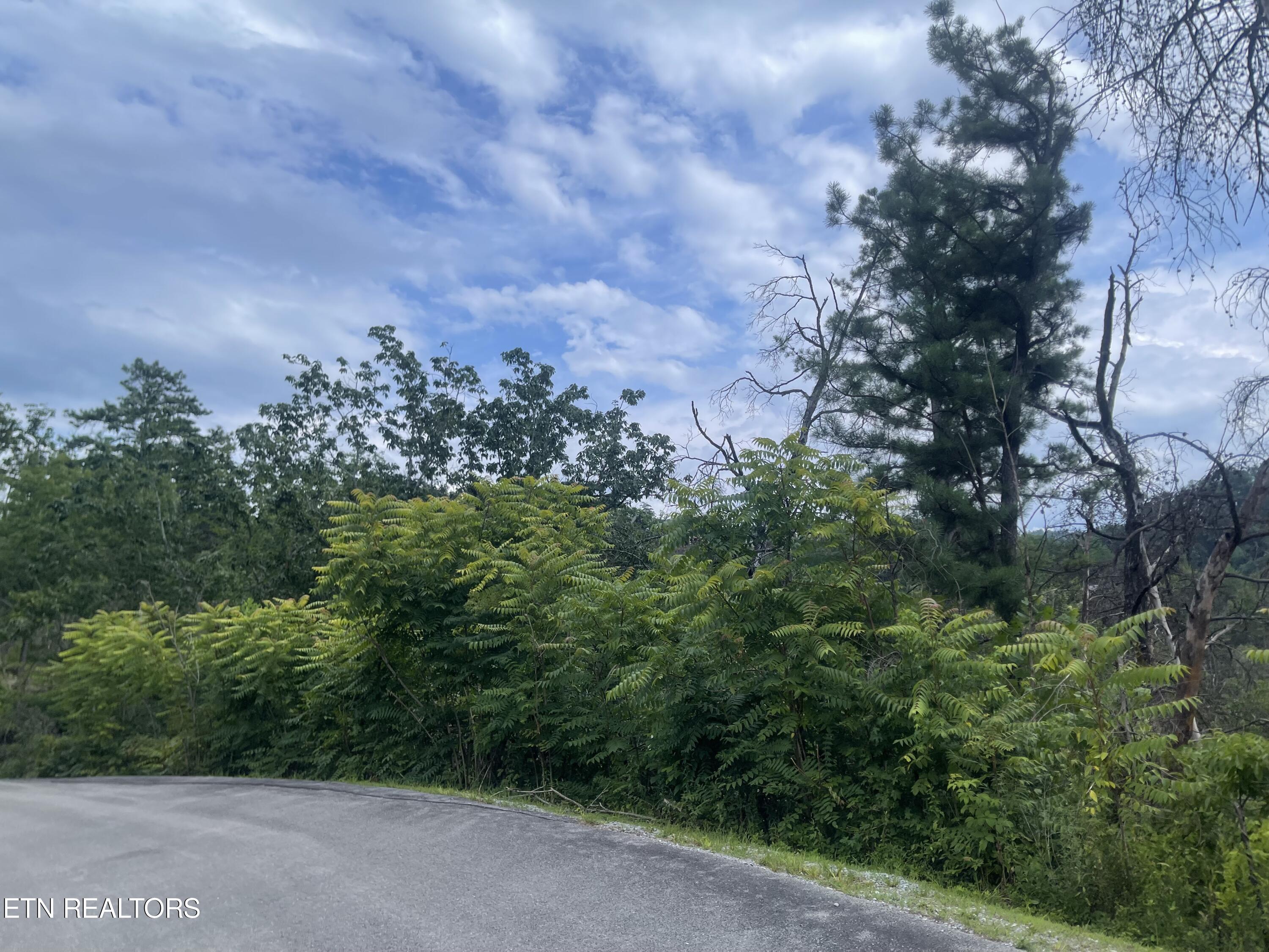 River Birch Way Sevierville, TN 37862 - Photo 20 of 28 from the street, potential build site