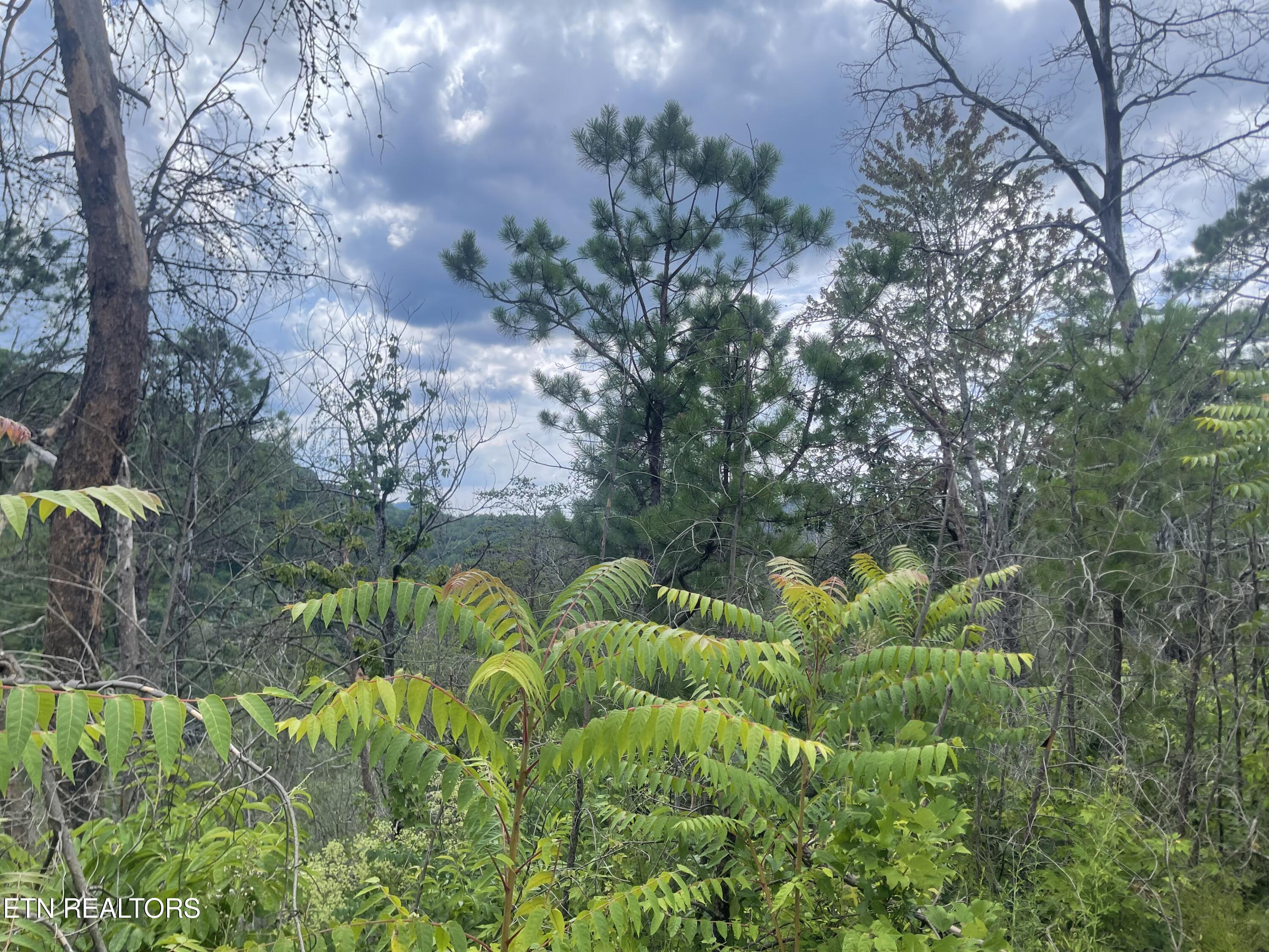 River Birch Way Sevierville, TN 37862 - Photo 25 of 28 mountain view to be uncovered
