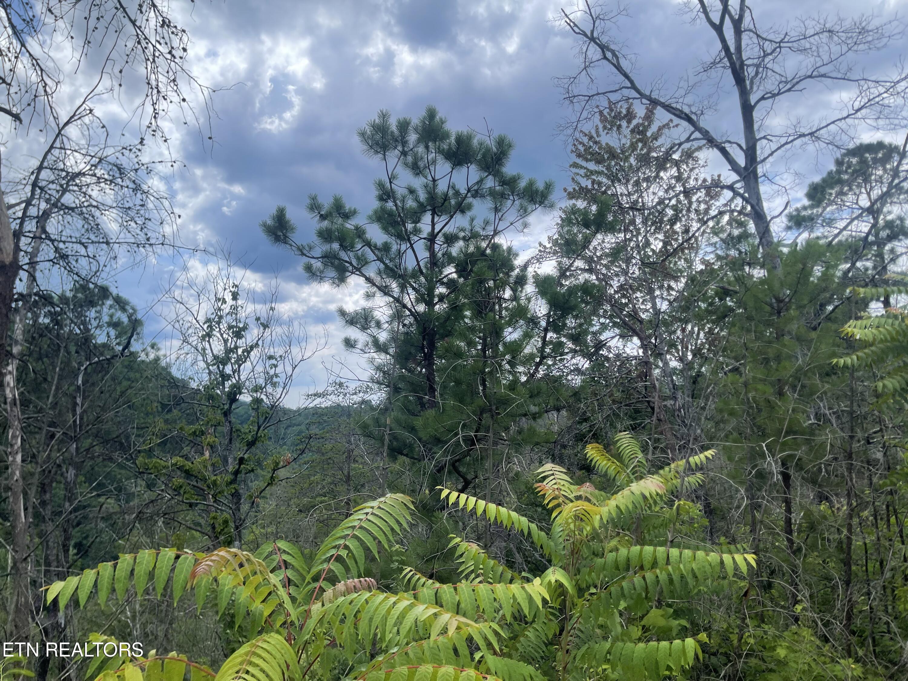 River Birch Way Sevierville, TN 37862 - Photo 27 of 28 mountain view to be uncovered