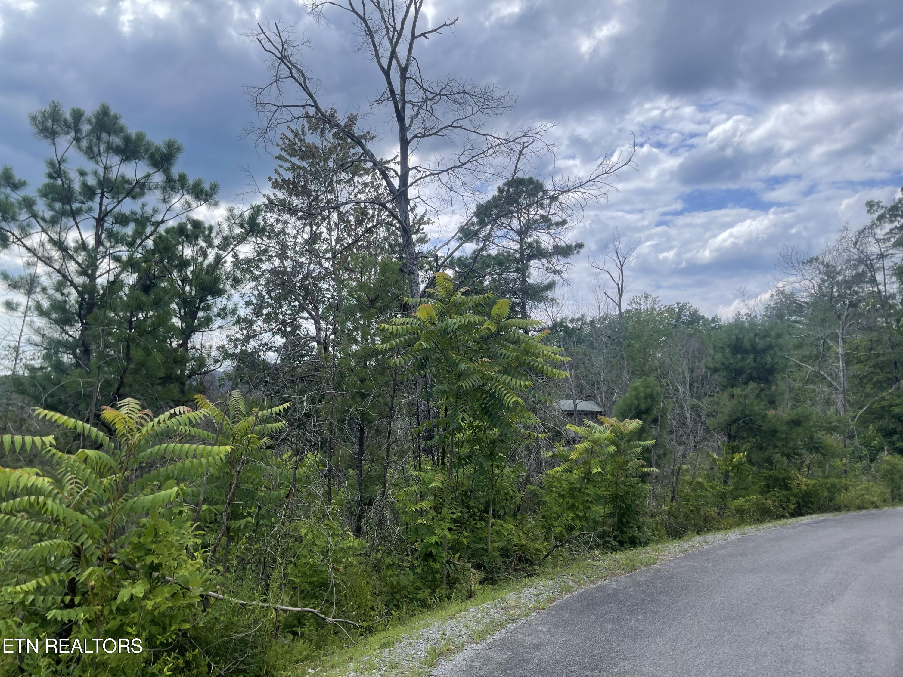 River Birch Way Sevierville, TN 37862 - Photo 5 of 28 from the street, potential build site