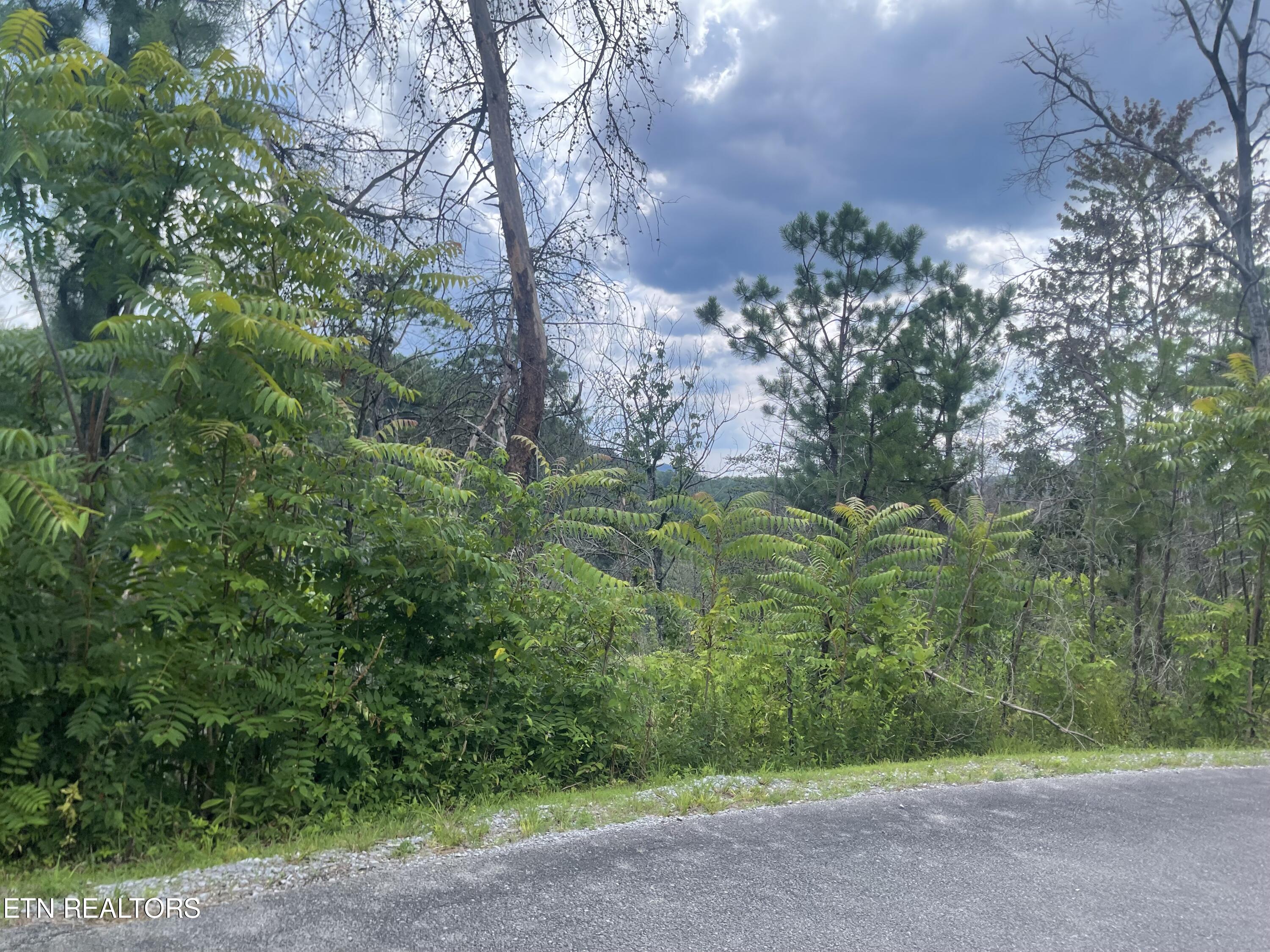 River Birch Way Sevierville, TN 37862 - Photo 6 of 28 from the street, potential build site