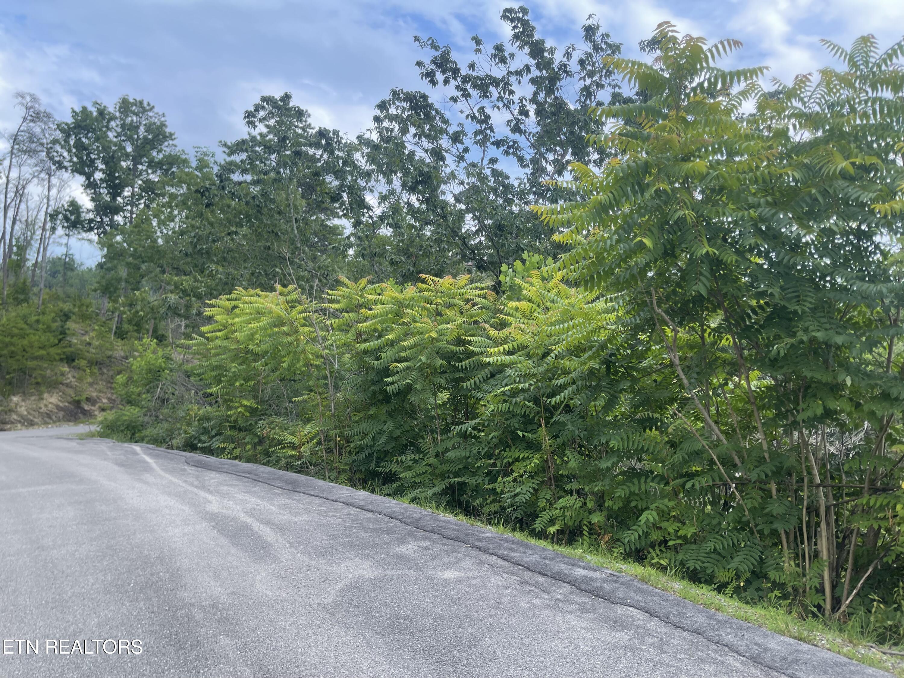River Birch Way Sevierville, TN 37862 - Photo 7 of 28 from the street, potential build site