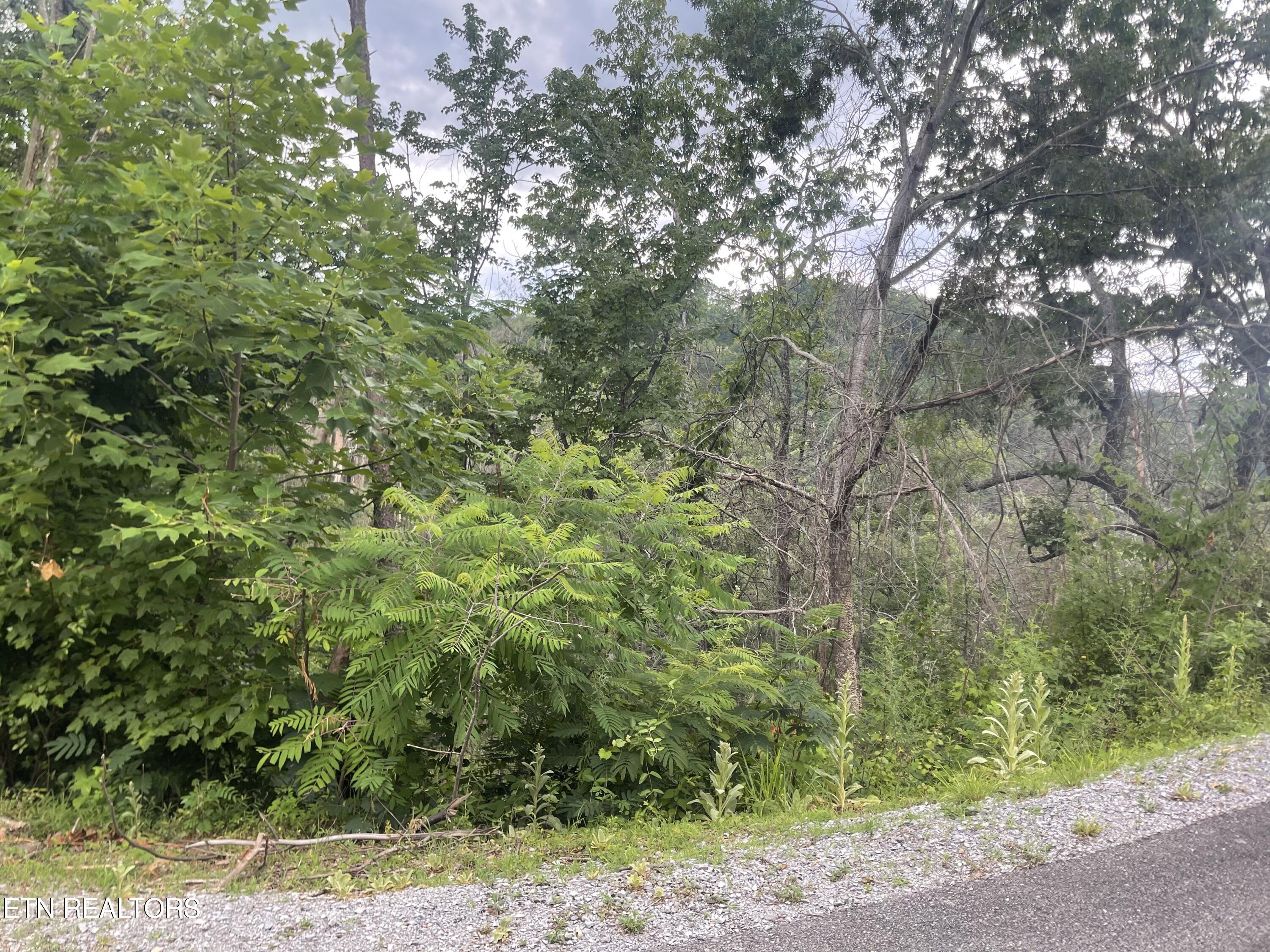 River Birch Way Sevierville, TN 37862 - Photo 10 of 28 mountain view to be uncovered