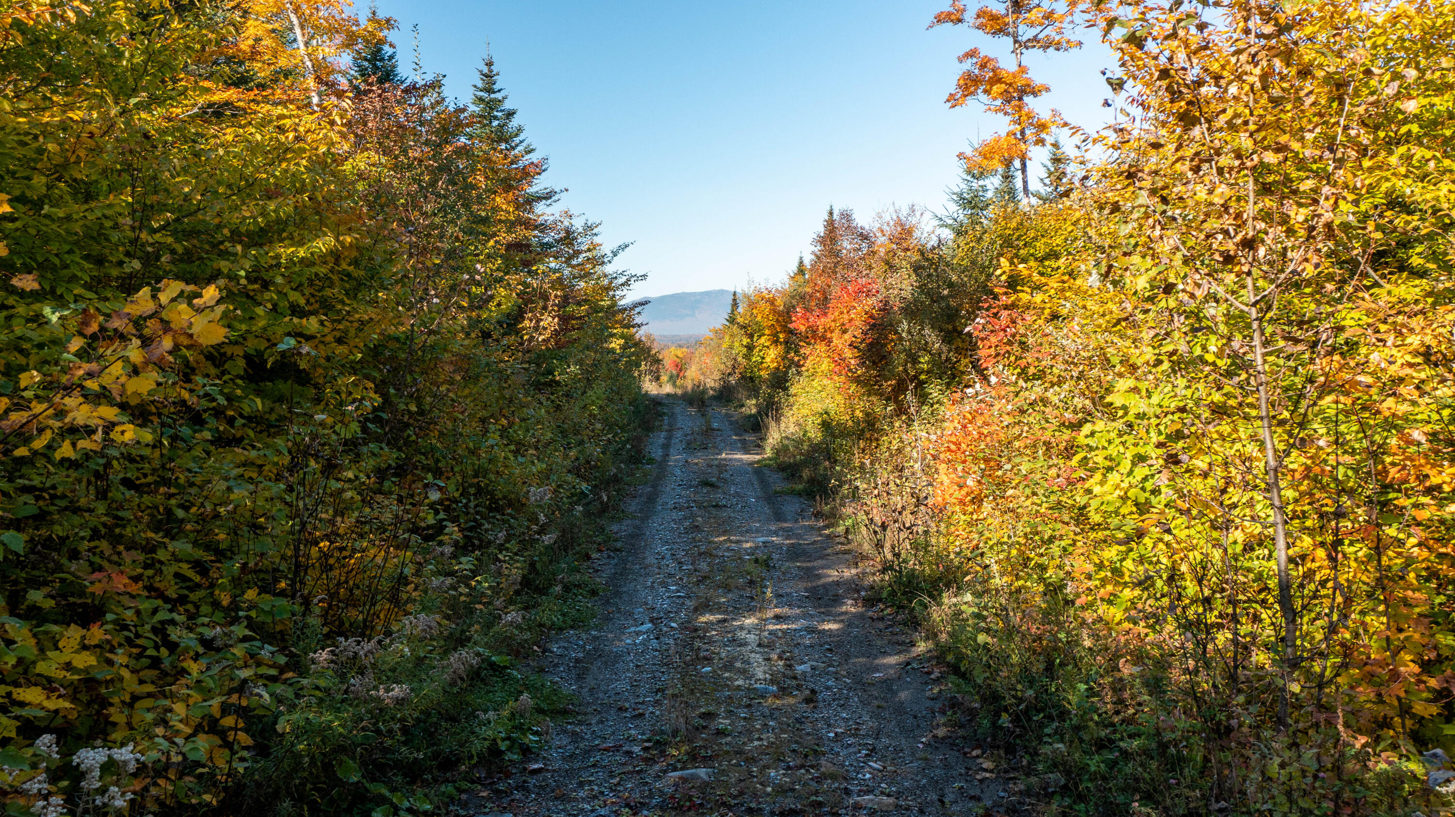 M4-l32 Shin Pond Road Mount Chase, ME 04765 - Photo 12 of 29 Maple Ridges, Mt Chase 12