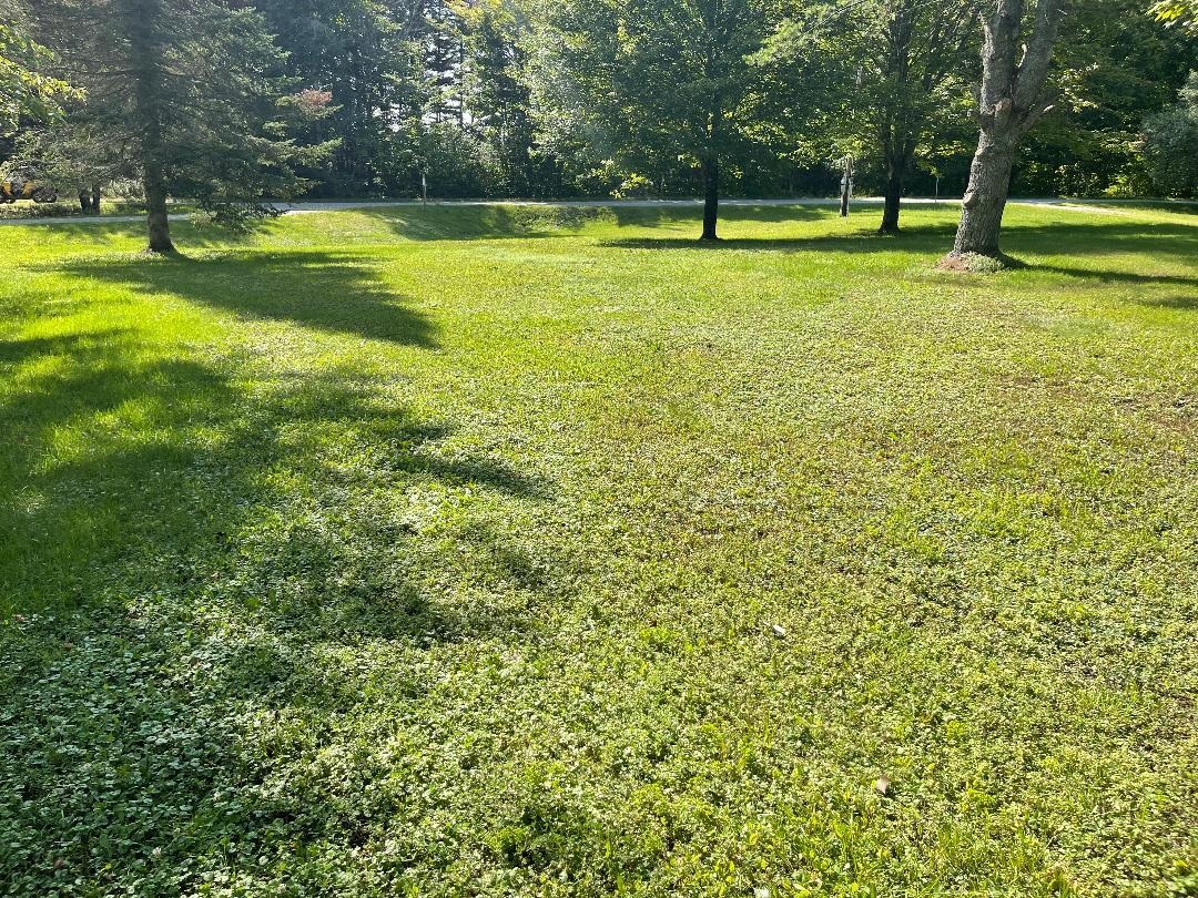 326 N Road Eden, VT 05653 - Photo 2 of 3