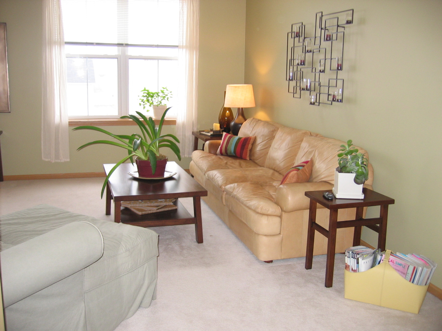 247 Grand Ridge Road, Unit 247 St. Charles, IL 60175 - Photo 11 of 24