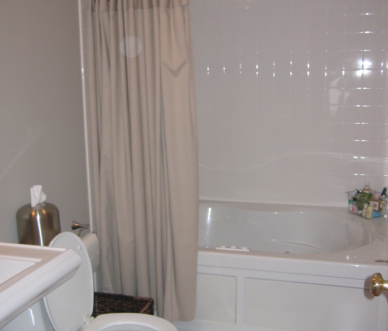 247 Grand Ridge Road, Unit 247 St. Charles, IL 60175 - Photo 17 of 24