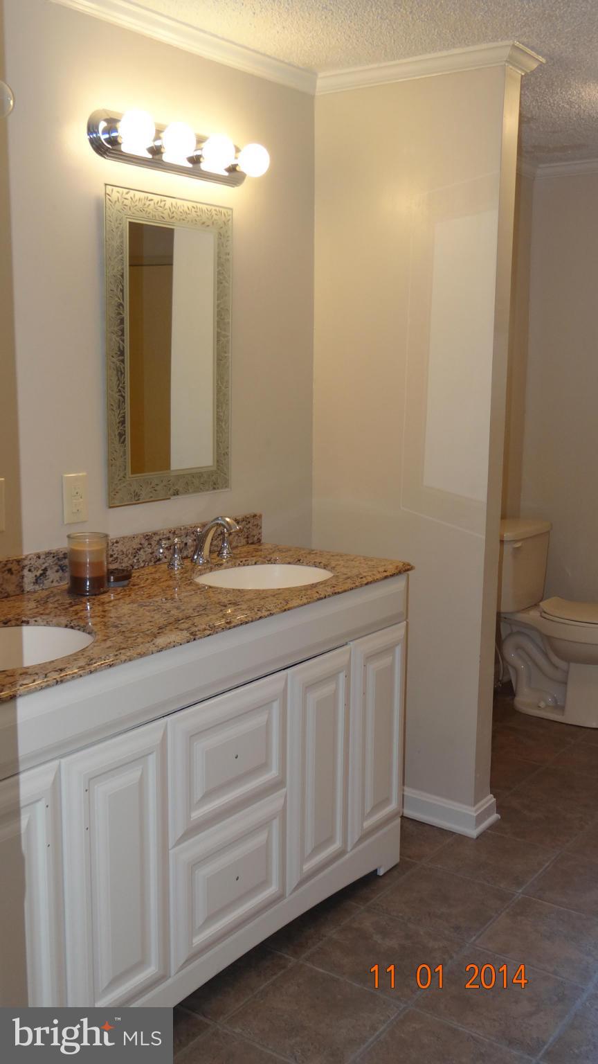 9711 Edenton Road Partlow, VA 22534 - Photo 20 of 30 Bath (Master)
