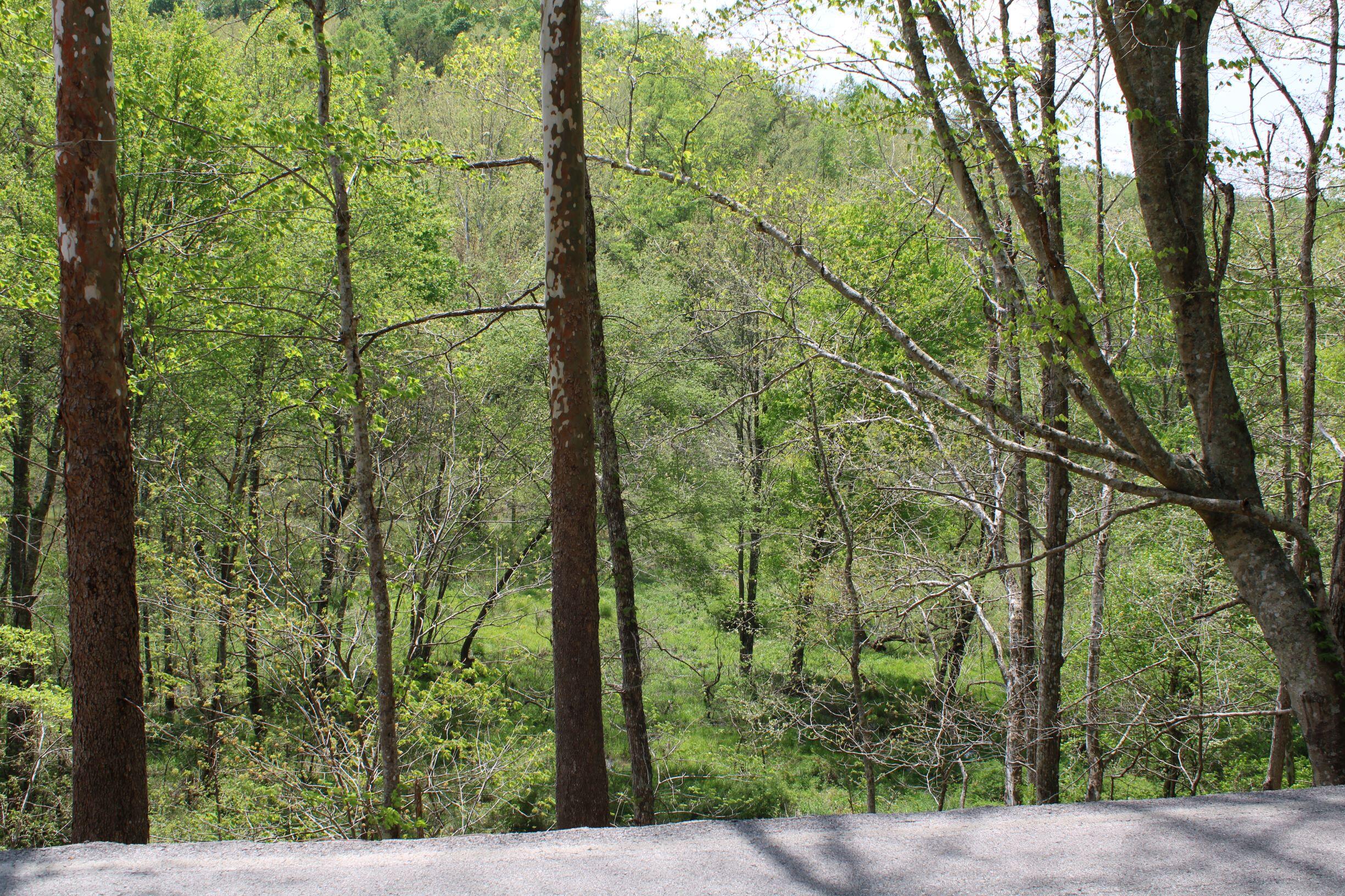 9999 Upper Rader Road Manchester, KY 40962 - Photo 15 of 37 IMG_0792