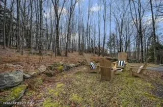 a view of a house with a large tree and a yard