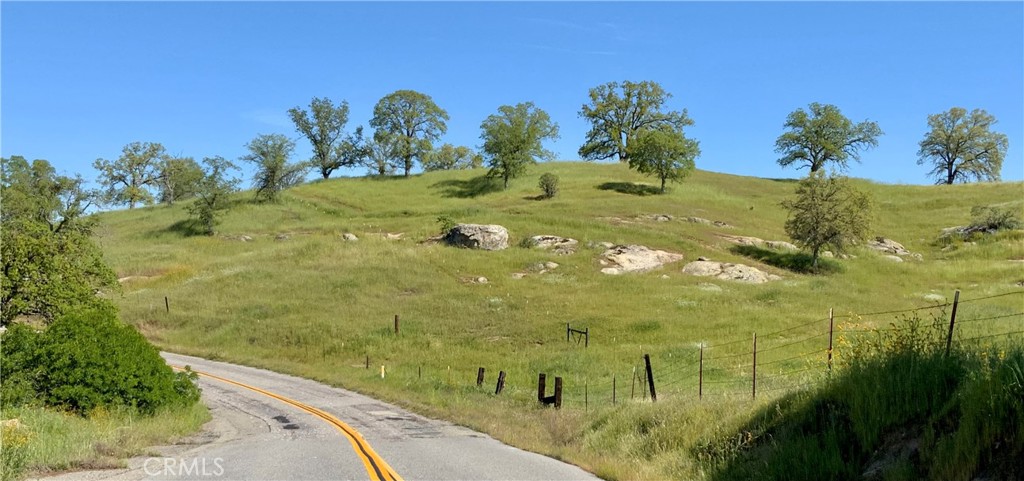 0 164 Ac Road Madera, CA 93636 - Photo 4 of 4