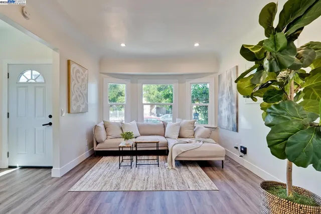a living room with furniture flowerpot and window
