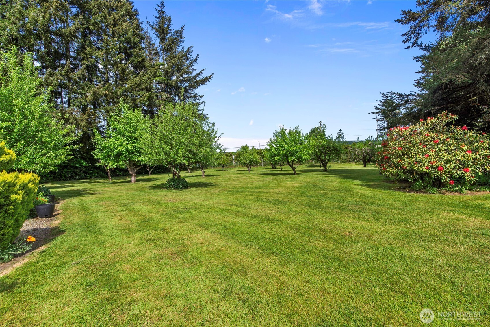 3903 Harrison Avenue Centralia, WA 98531 - Photo 24 of 40