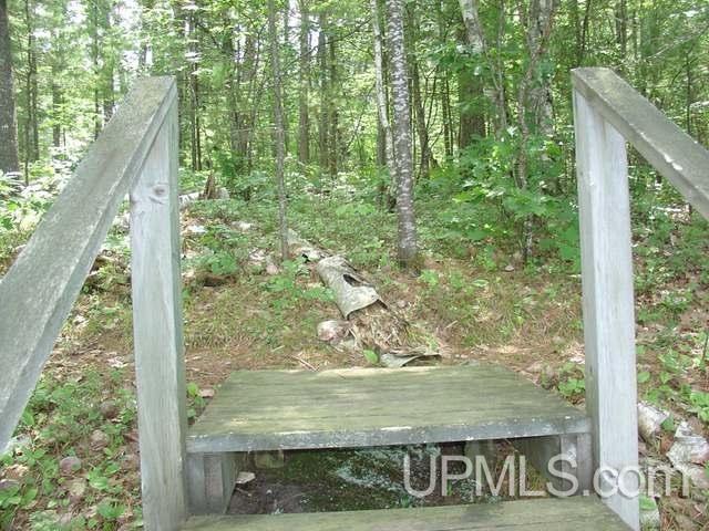 Off South Moon Lake Road Watersmeet, MI 49969 - Photo 6 of 10 Gallery Image 6