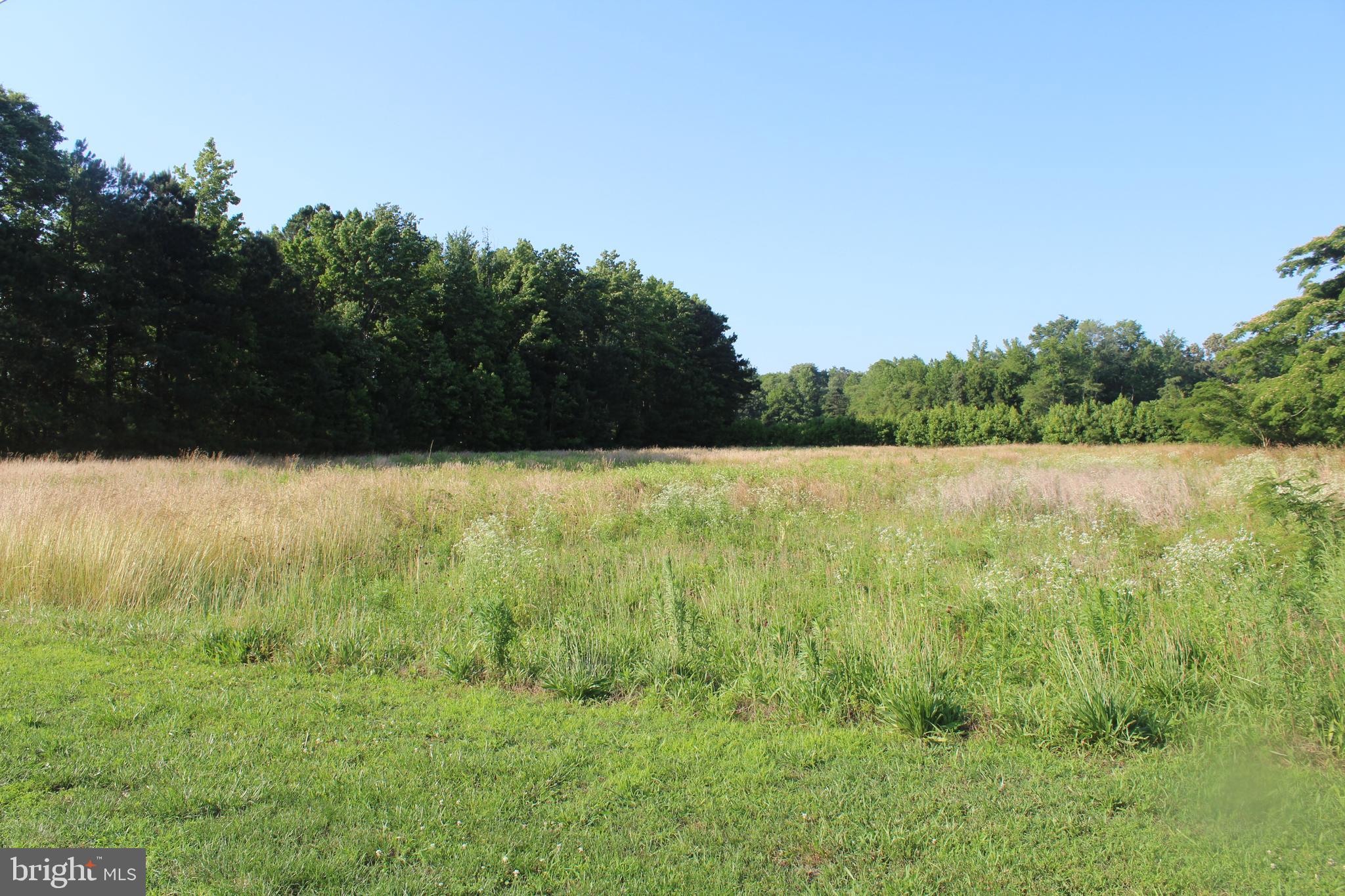 5463 Nebo Road Quantico, MD 21856 - Photo 3 of 6