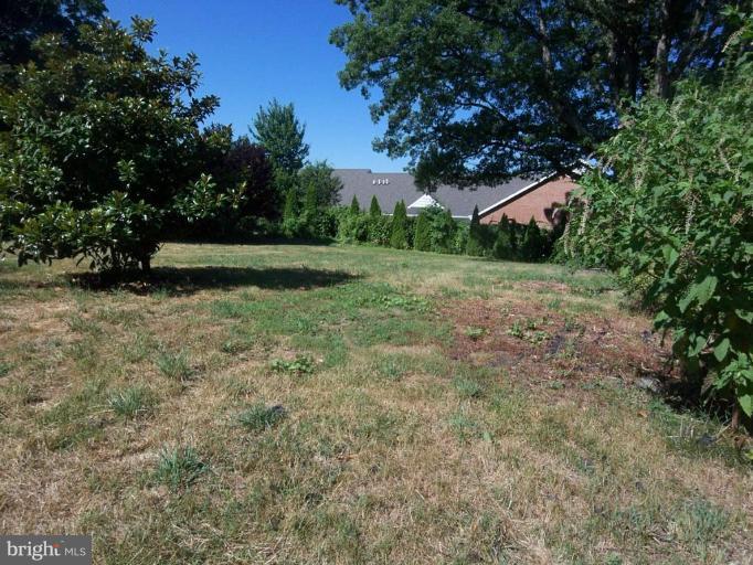 2236 Rock Spring Road Forest Hill, MD 21050 - Photo 5 of 25 Back yard