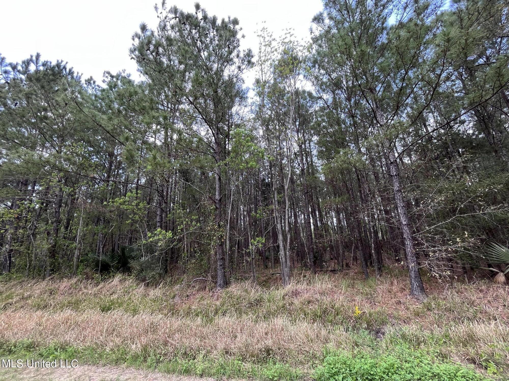 16th Street Bay St. Louis, MS 39520 - Photo 2 of 3 IMG-3723