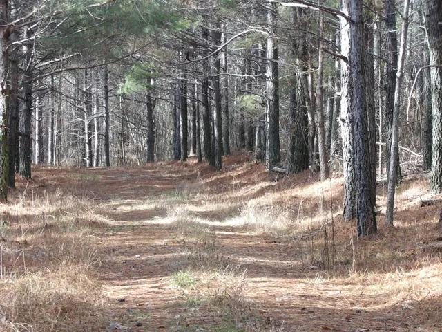 $2,600,000 | 340 Randell Harris Road, Pikeville, TN 37367