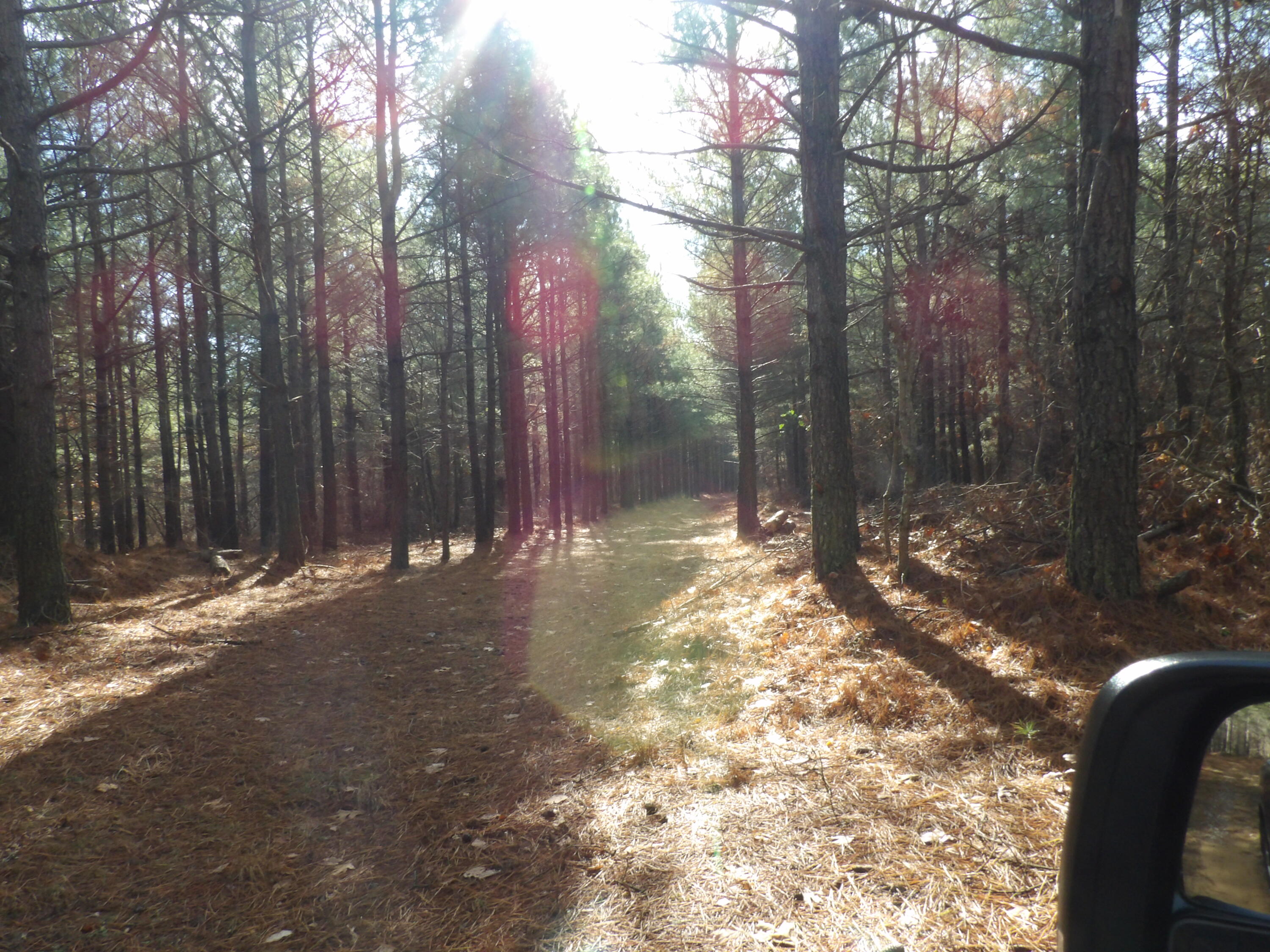 340 Randell Harris Road Pikeville, TN 37367 - Photo 11 of 36 100_2142 - Copy - Copy